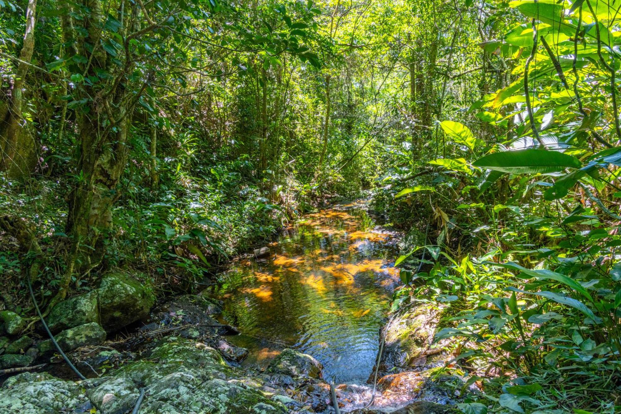 Appartamento Mansao Voar Florianópolis Esterno foto